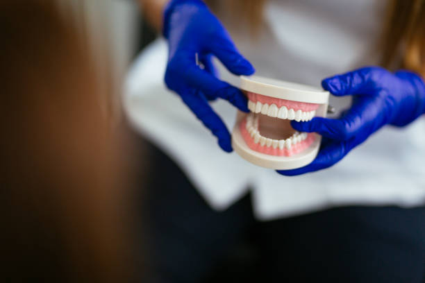 Best Pediatric Dentistry  in Vla Grove, IL